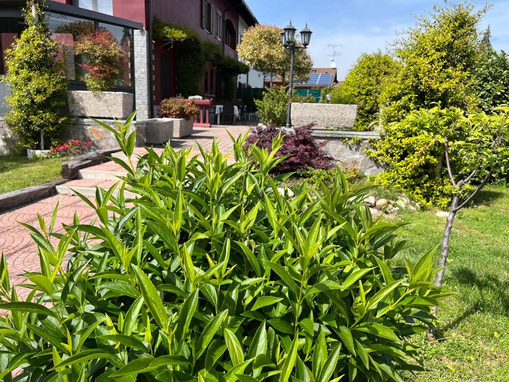 Villarosybeb Paruzzaro Exterior foto